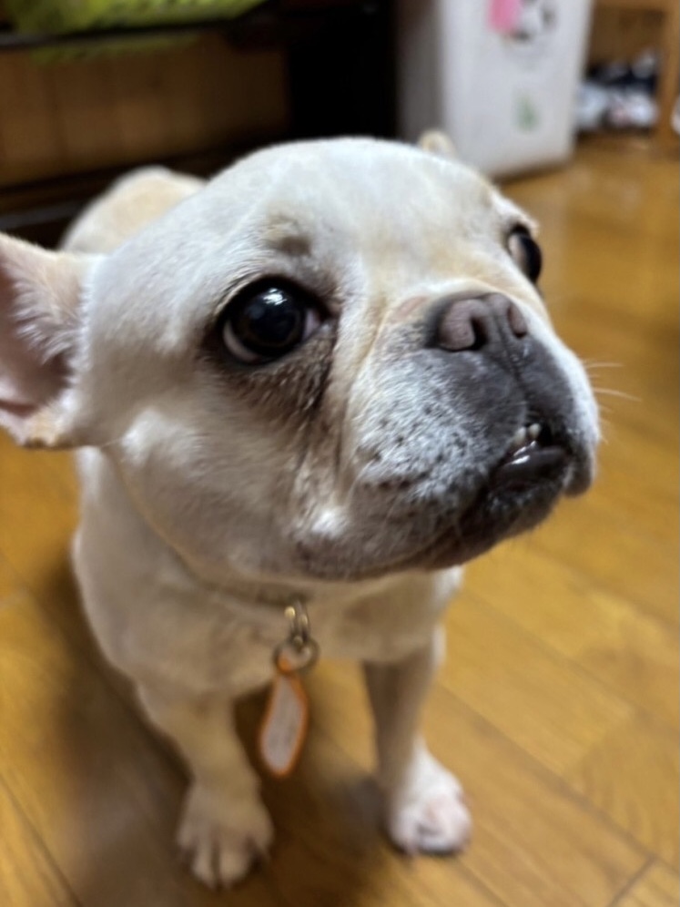 うめ