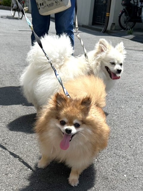 ナロ