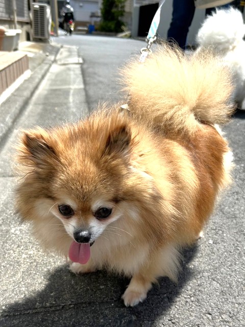 ナロ