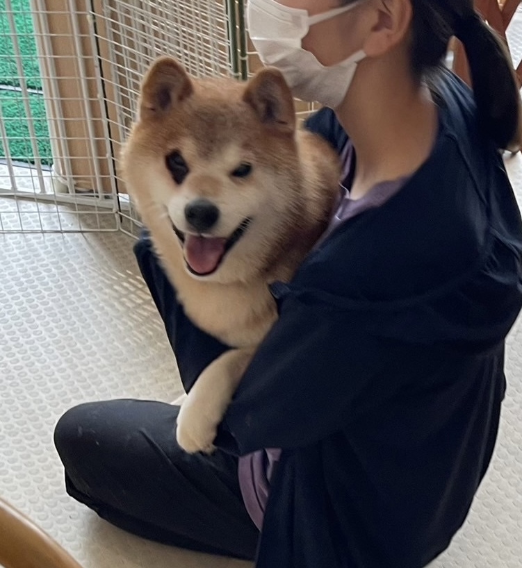 福太郎（ふくたろう）