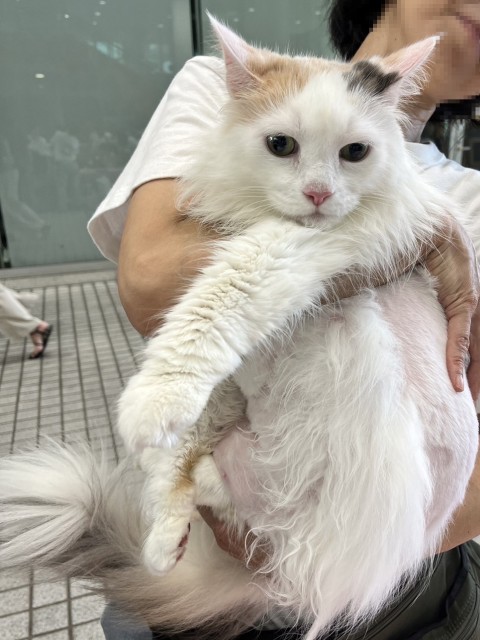 登録している生体