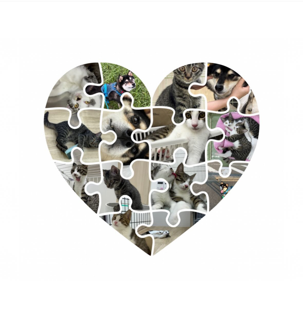 三崎動物保護センター