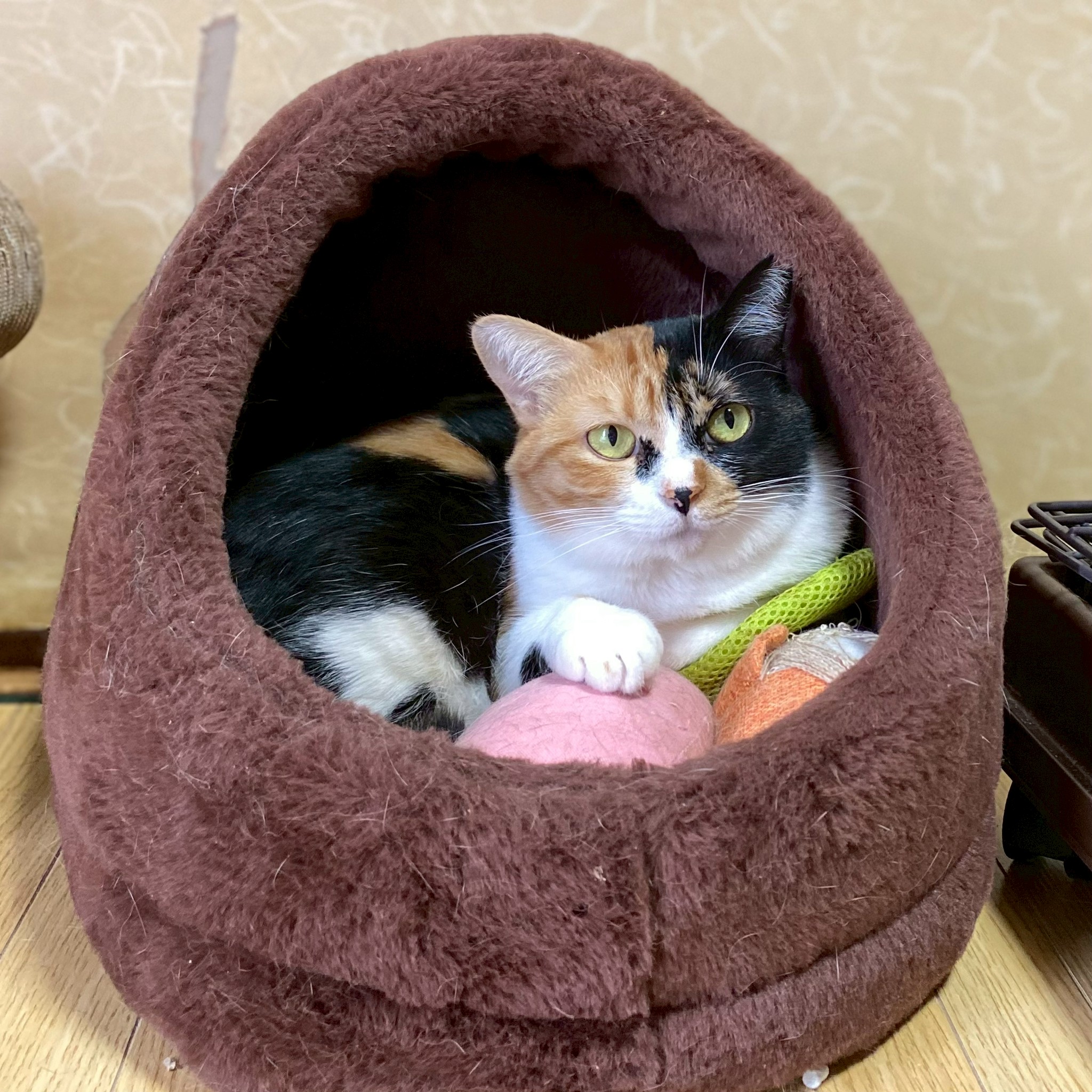 ミーナ