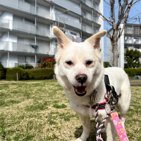 サラン