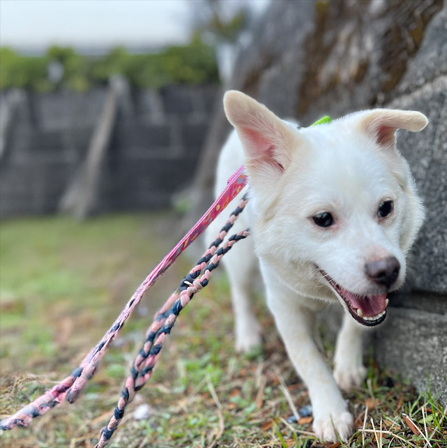 サラン