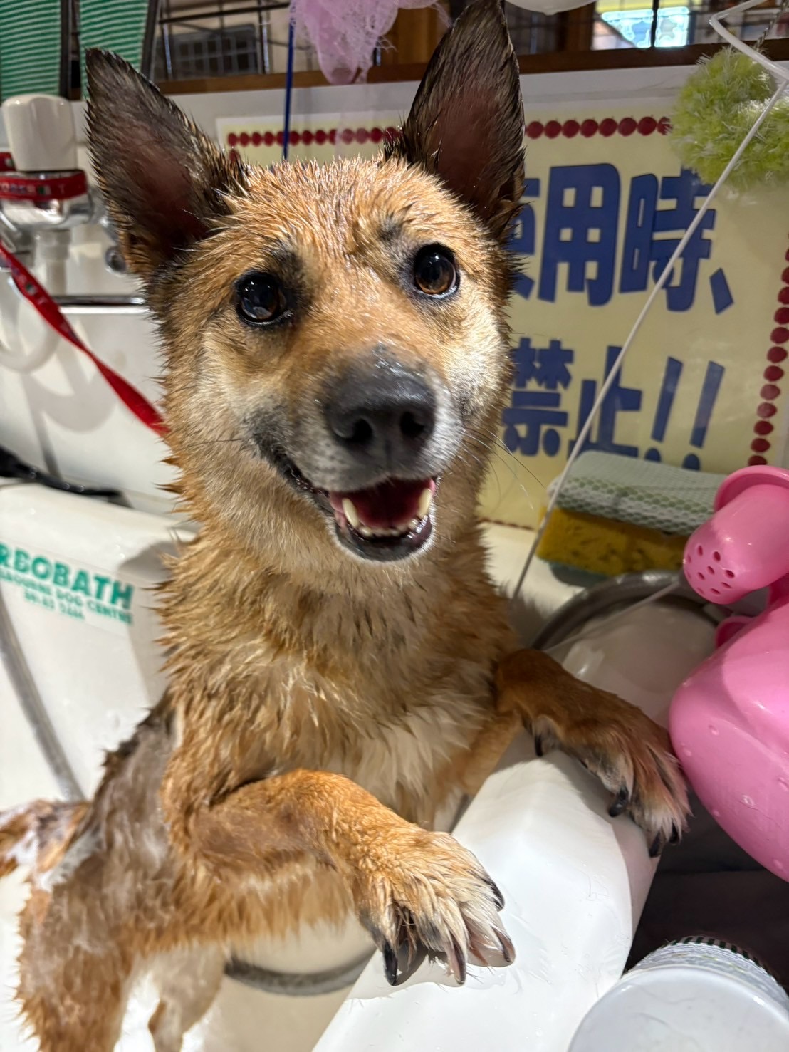 ラーデ
