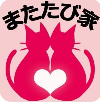 またたび家