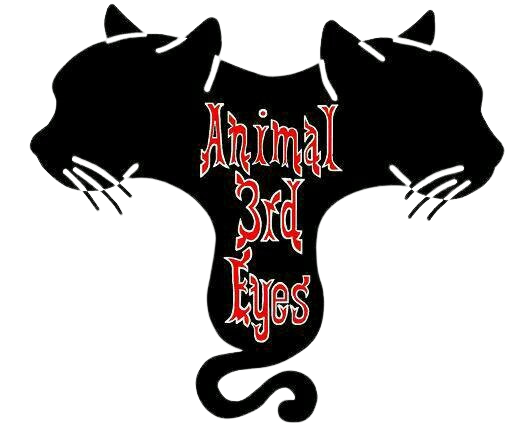 Animal3rdEyes