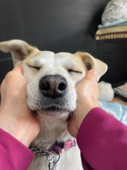 まな