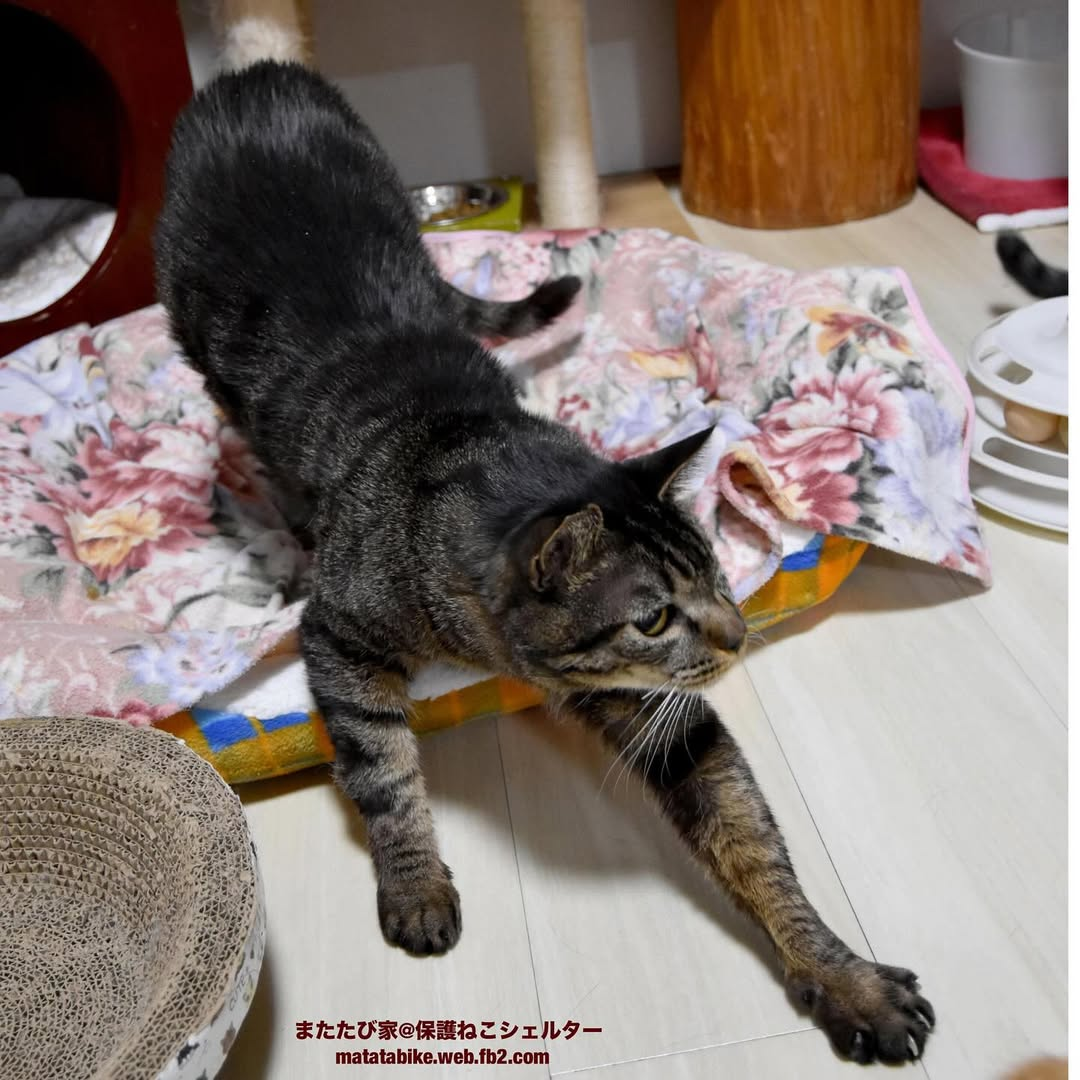 あーちゃん