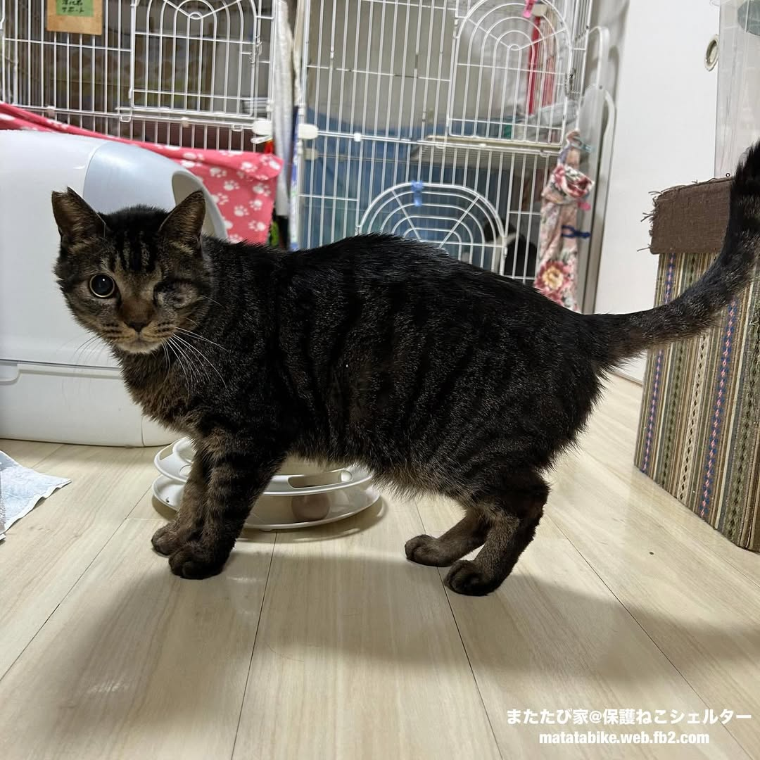 あーちゃん