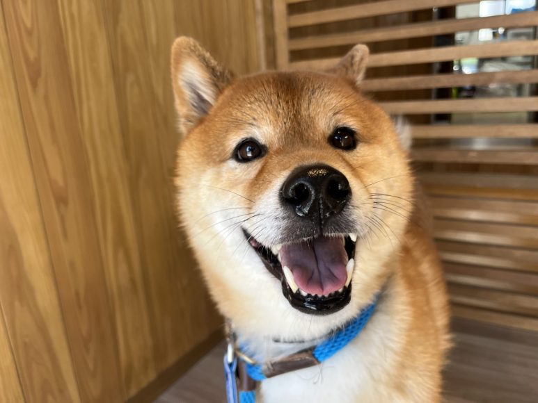 とく