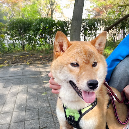 登録している生体