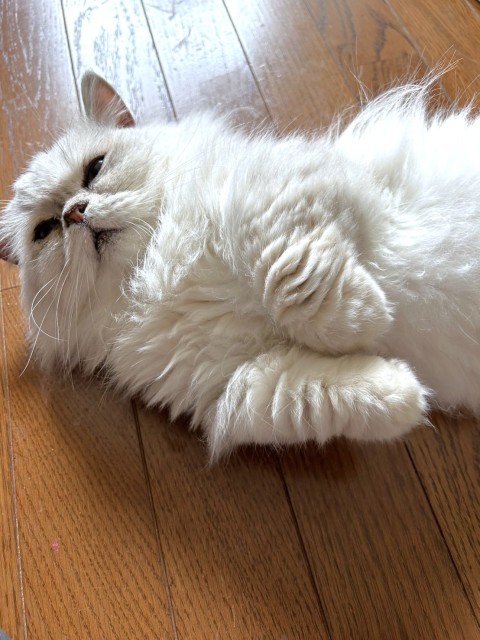 イケメン