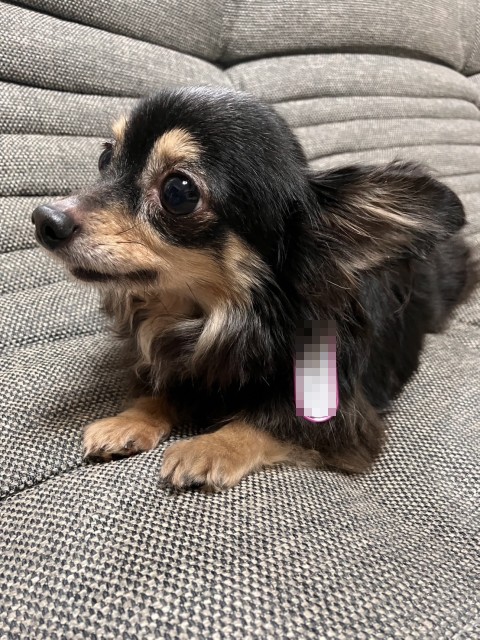 ミックス全般