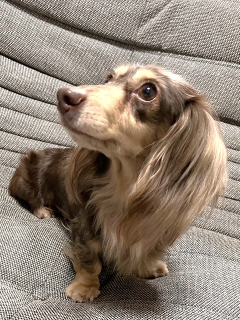 なおよ
