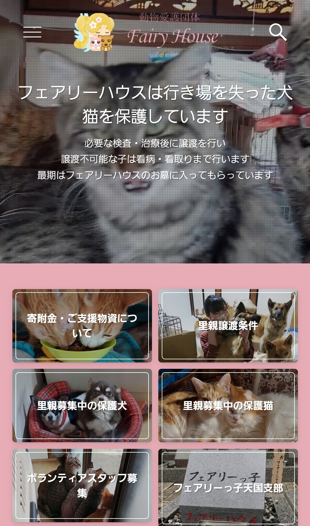 NPO法人動物愛護団体フェアリーハウス