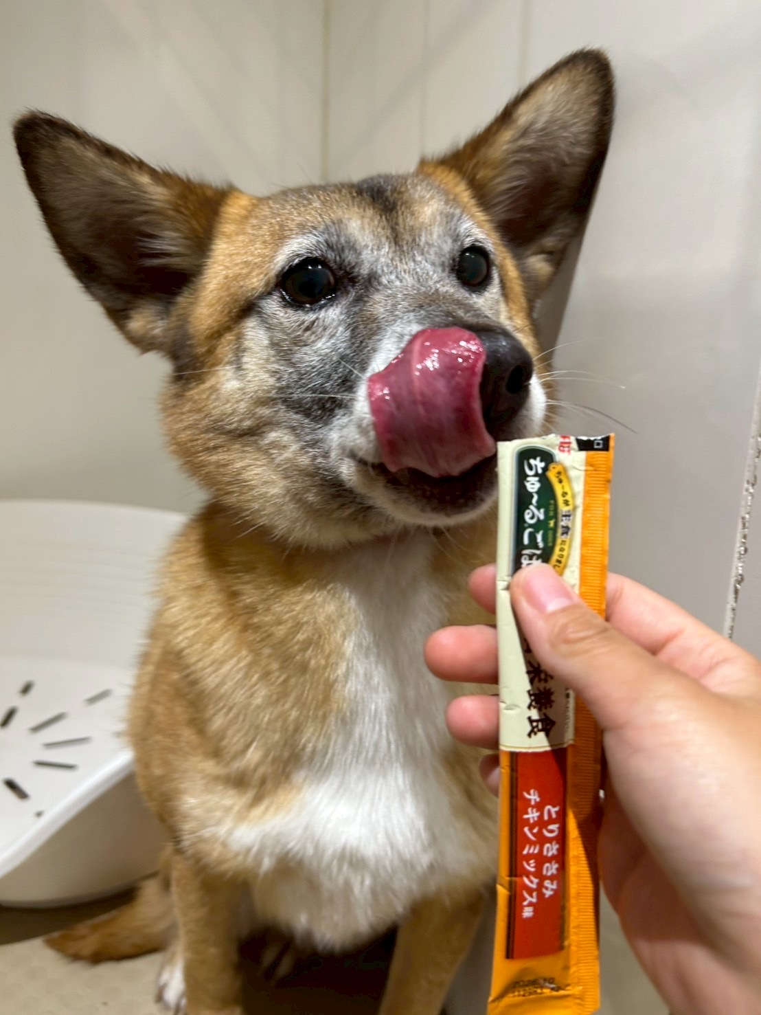 美笑（みえみ）