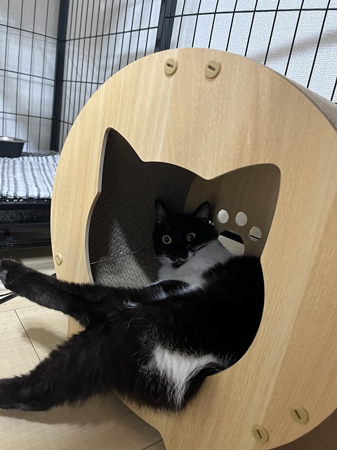 ひなた
