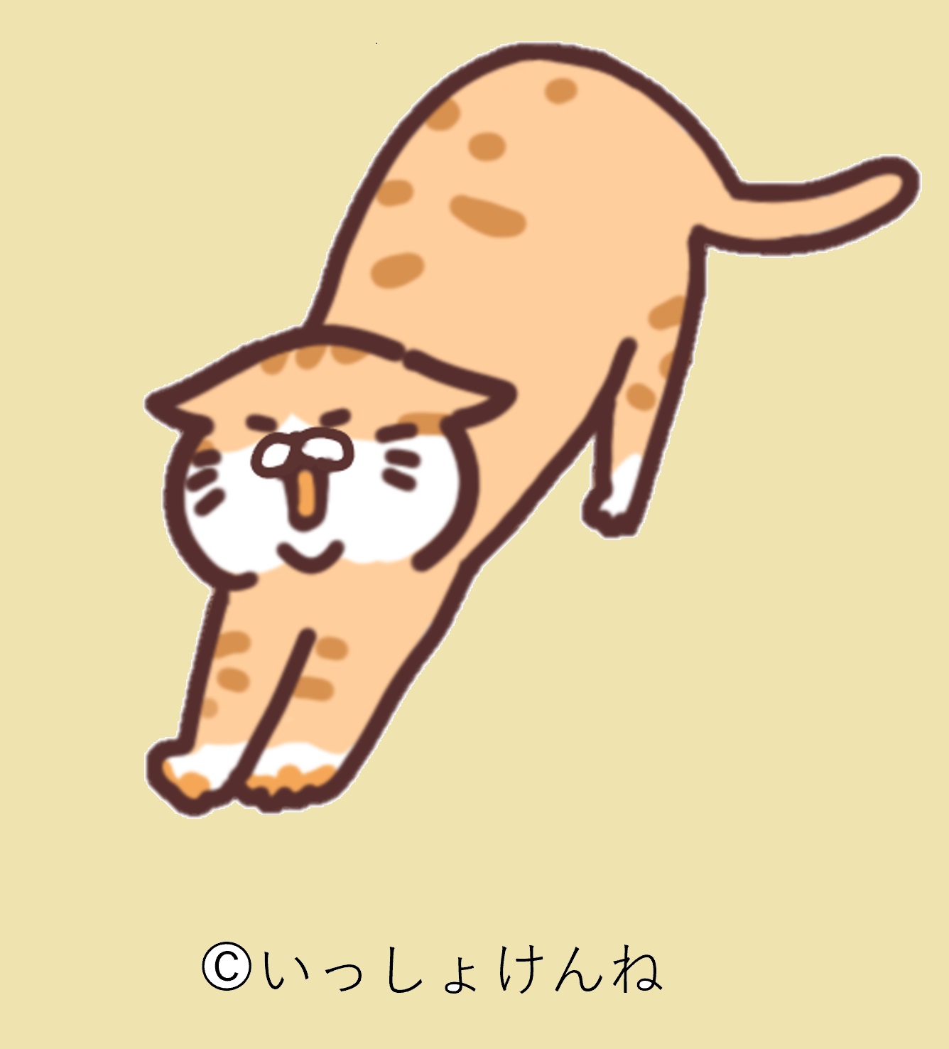 佐賀県犬猫譲渡センター「いっしょけんね」