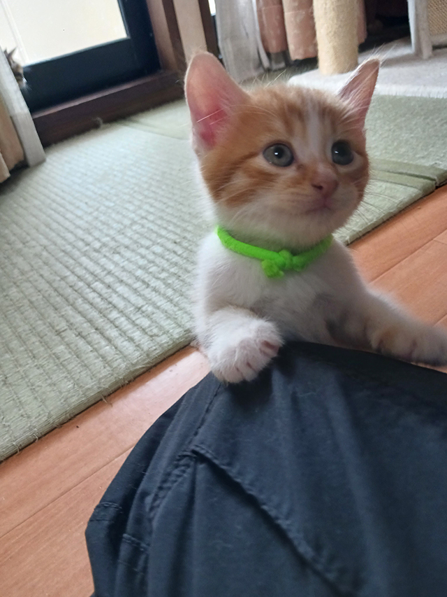 にの