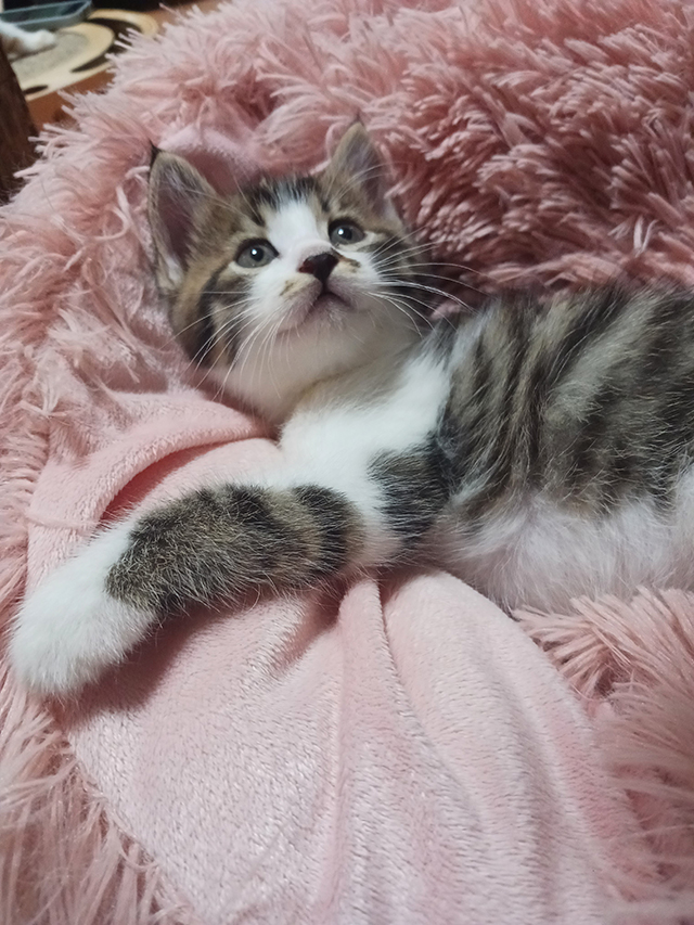 なお