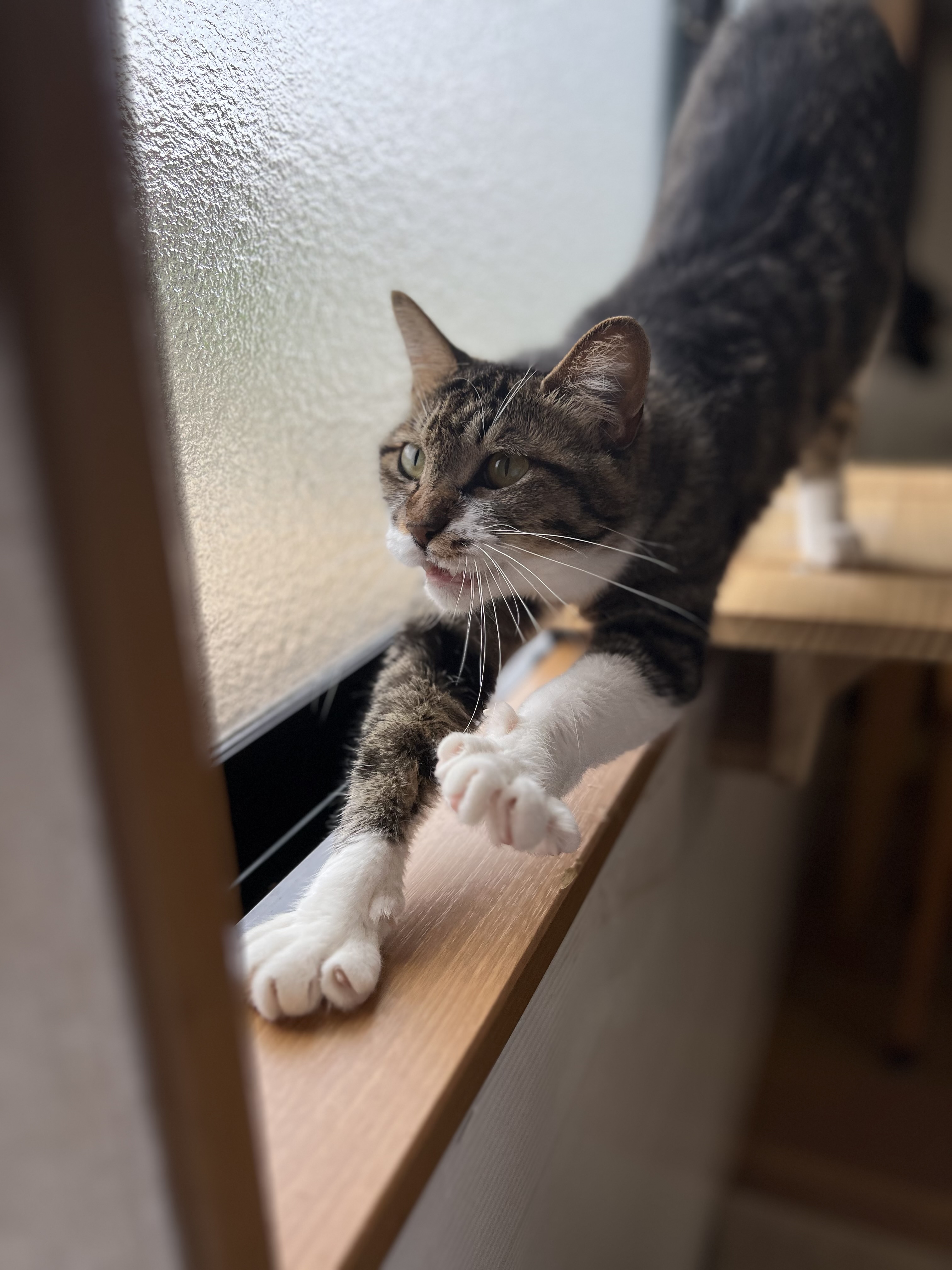ひみや