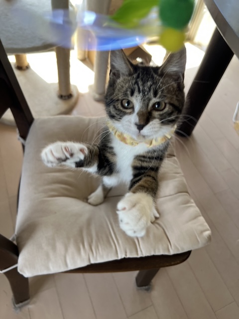 サニー