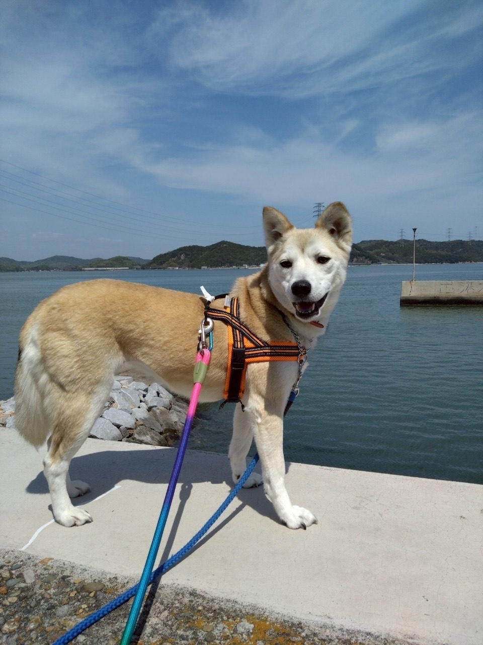 あず