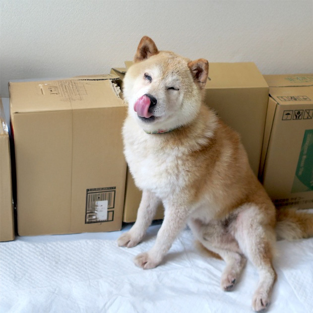 サム