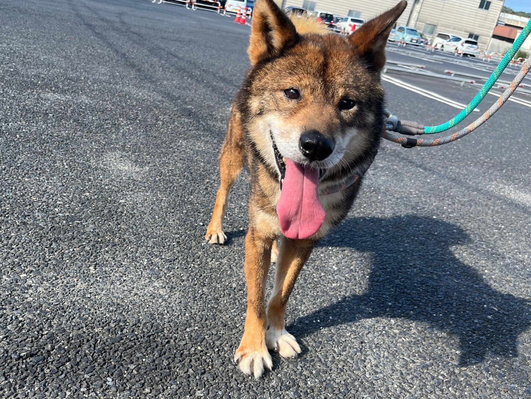大谷くん