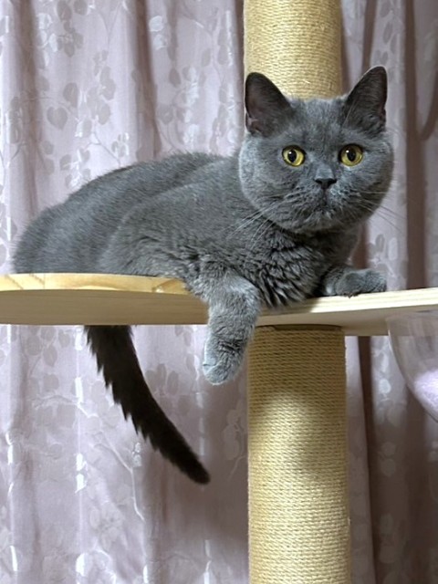 リテ