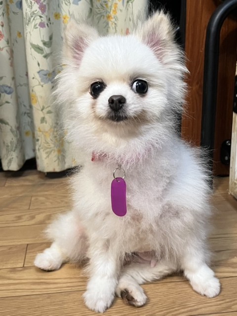 ヒロコ