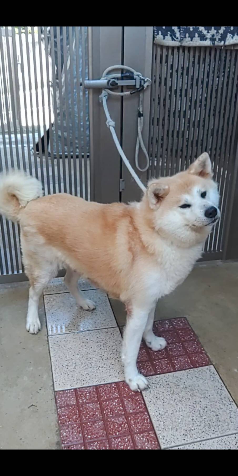 サト