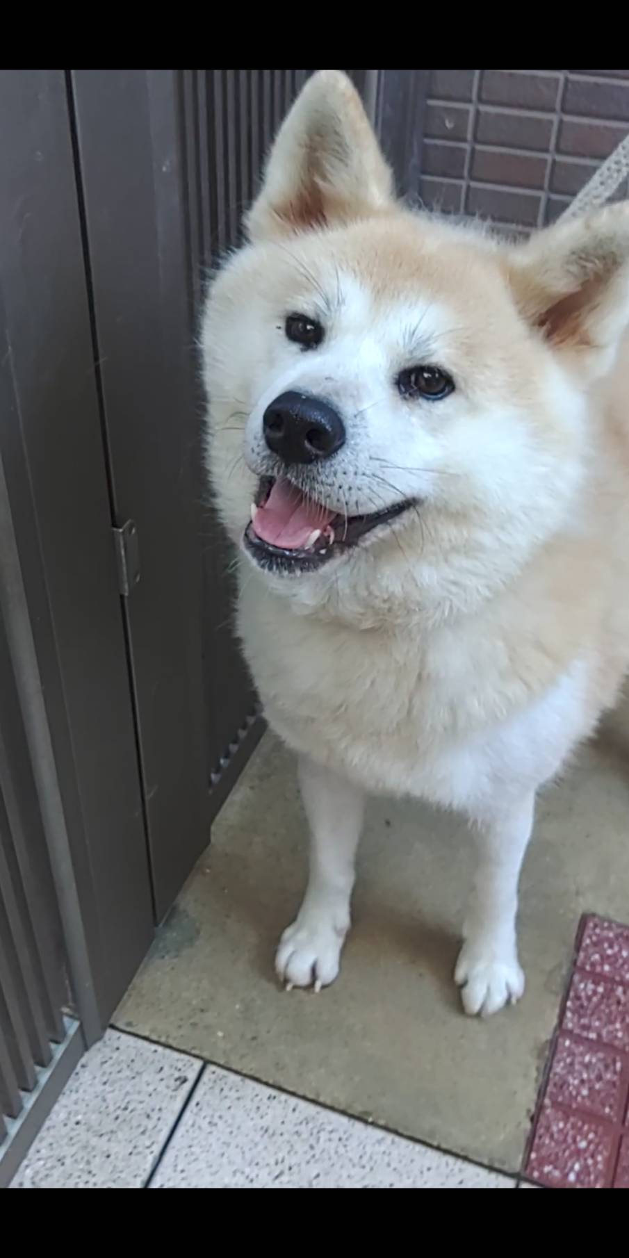 サト