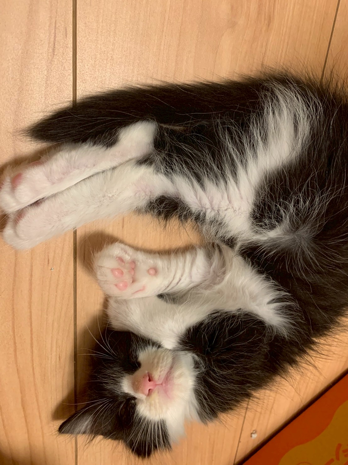 しろ