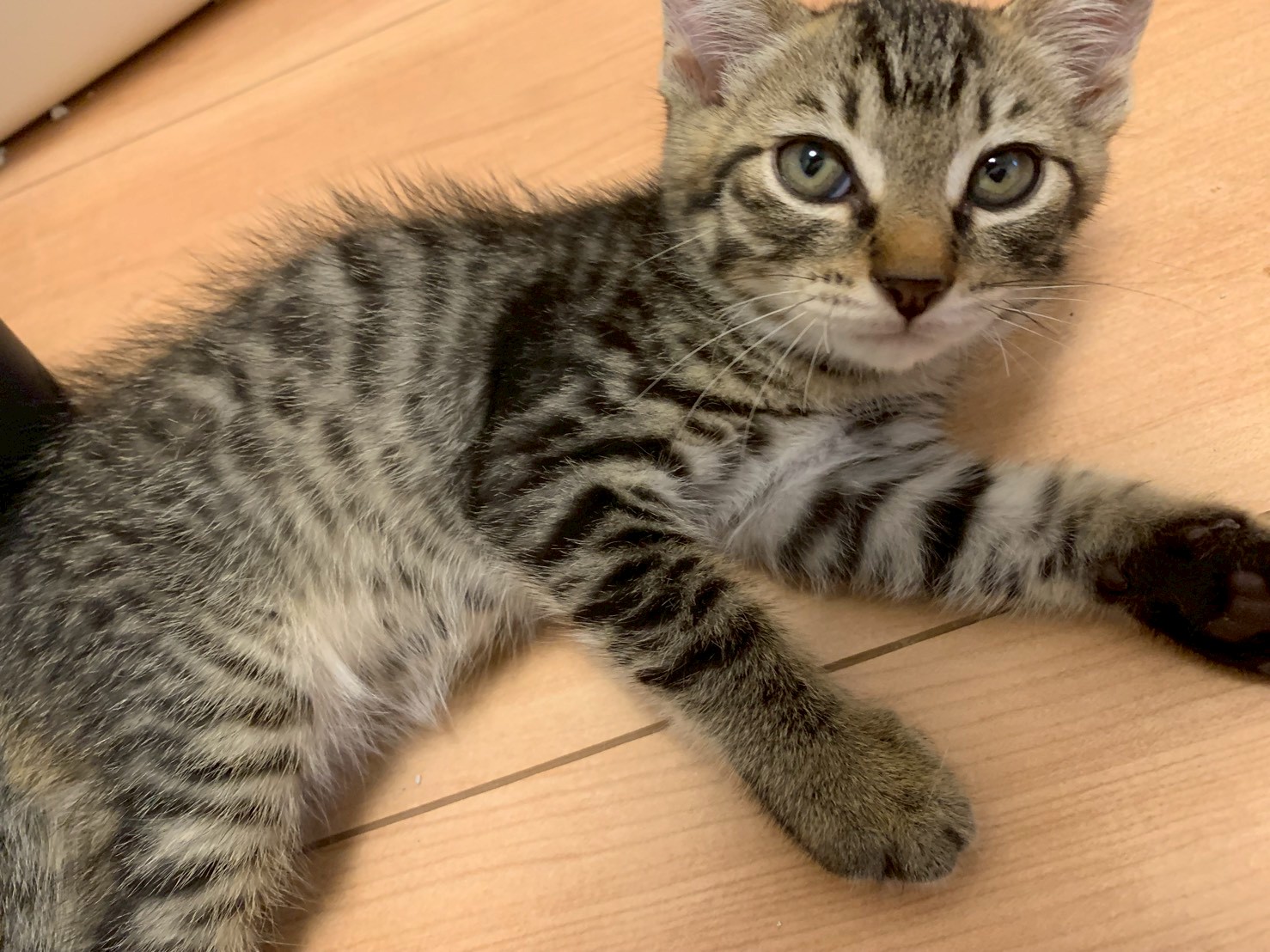 太郎