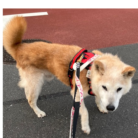 やまじぃ