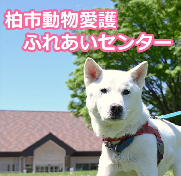 柏市動物愛護ふれあいセンター