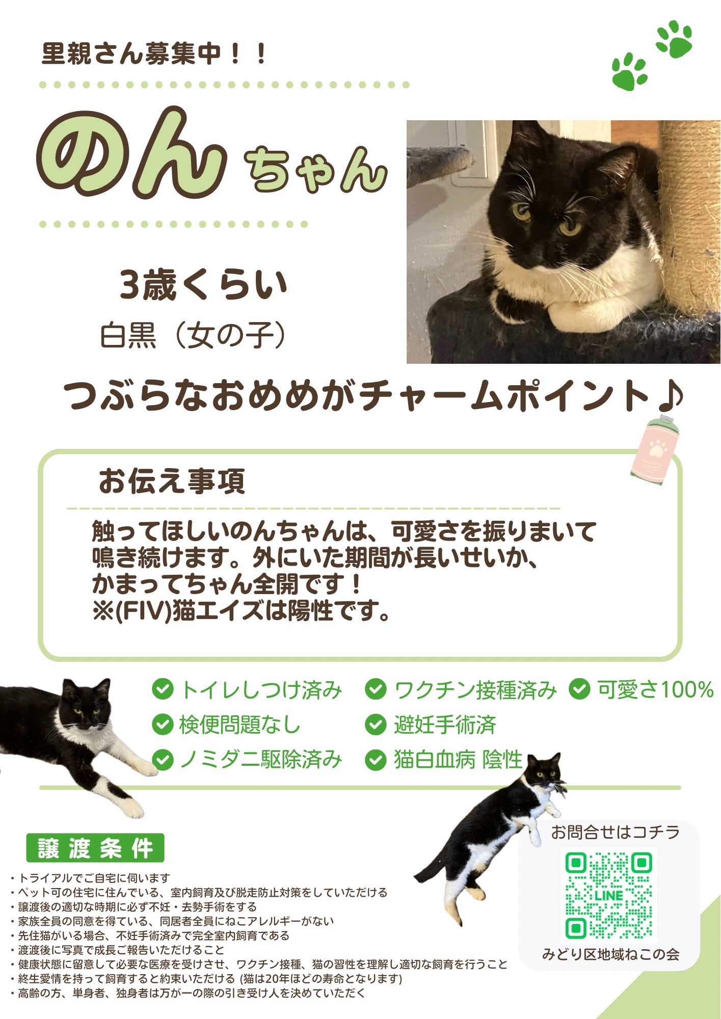 のん