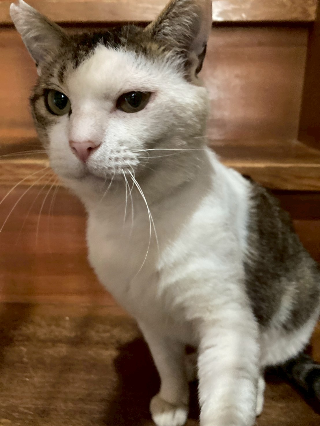 チャーリーくん