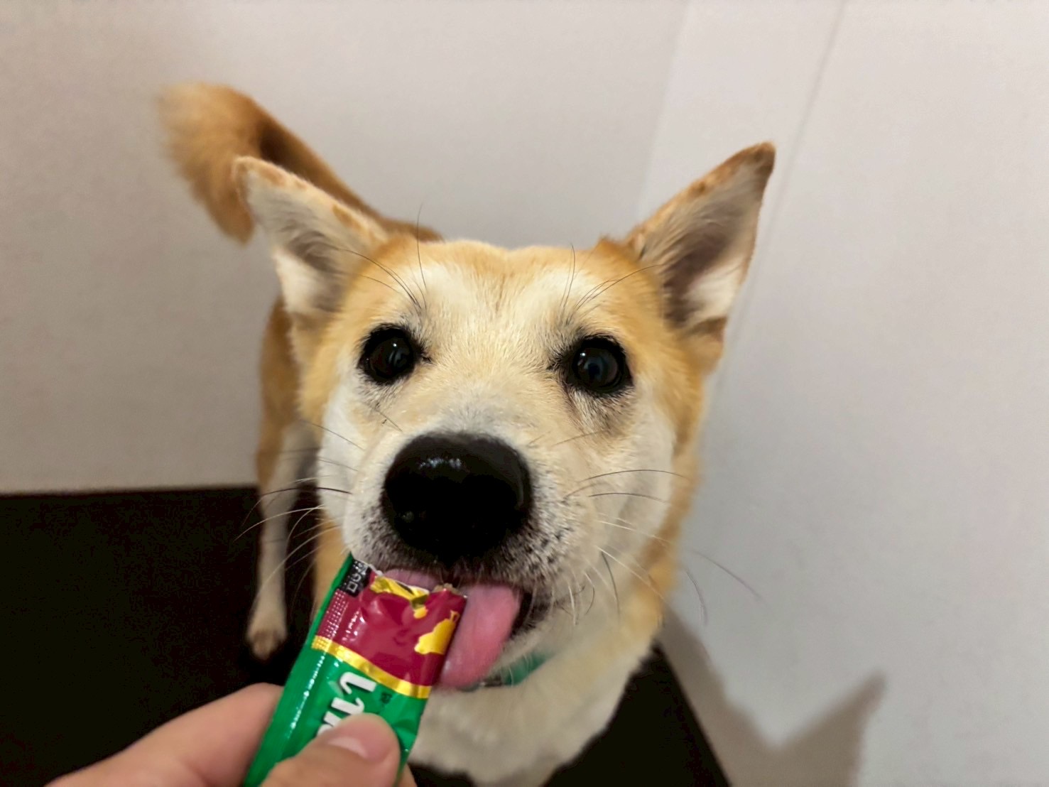 ナギニ