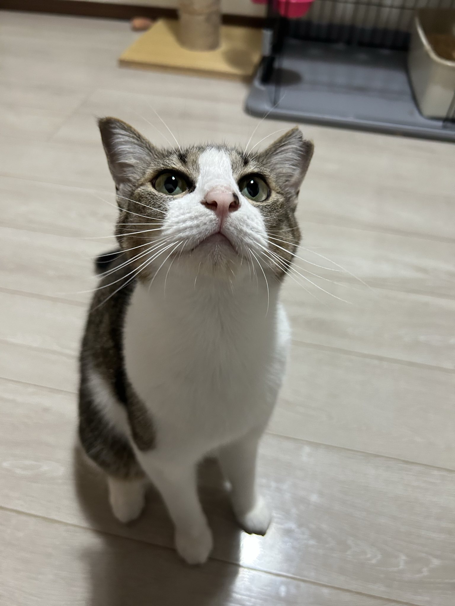 ミックス全般