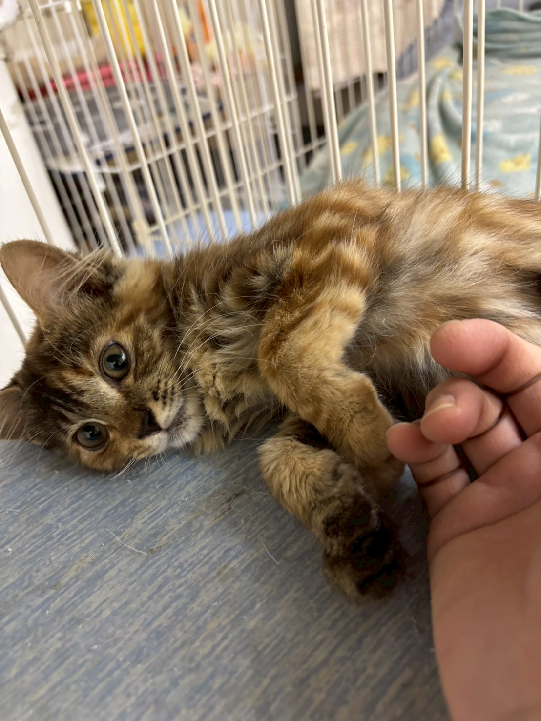 ウィンリィ〜ちゃん