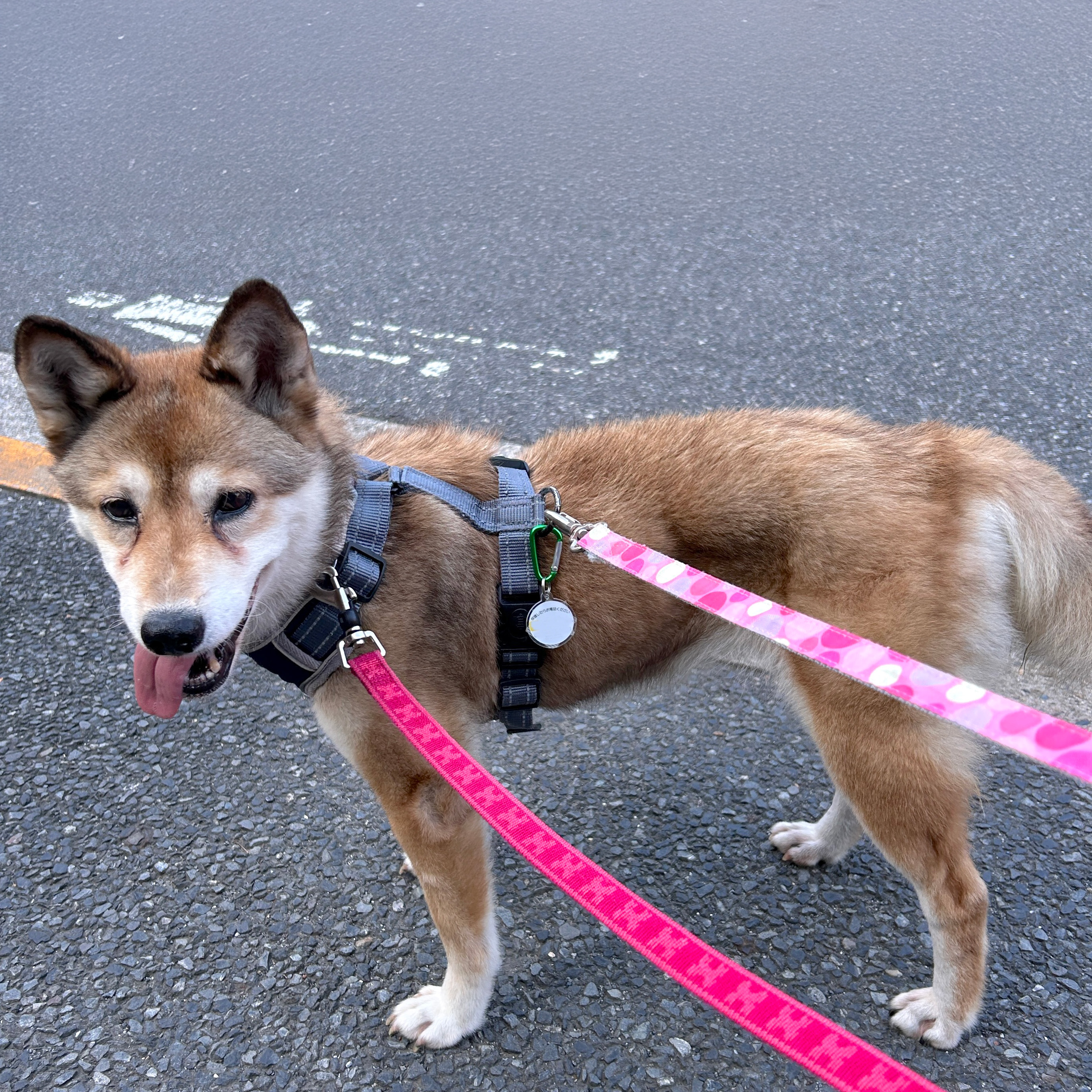 笑（えみ）