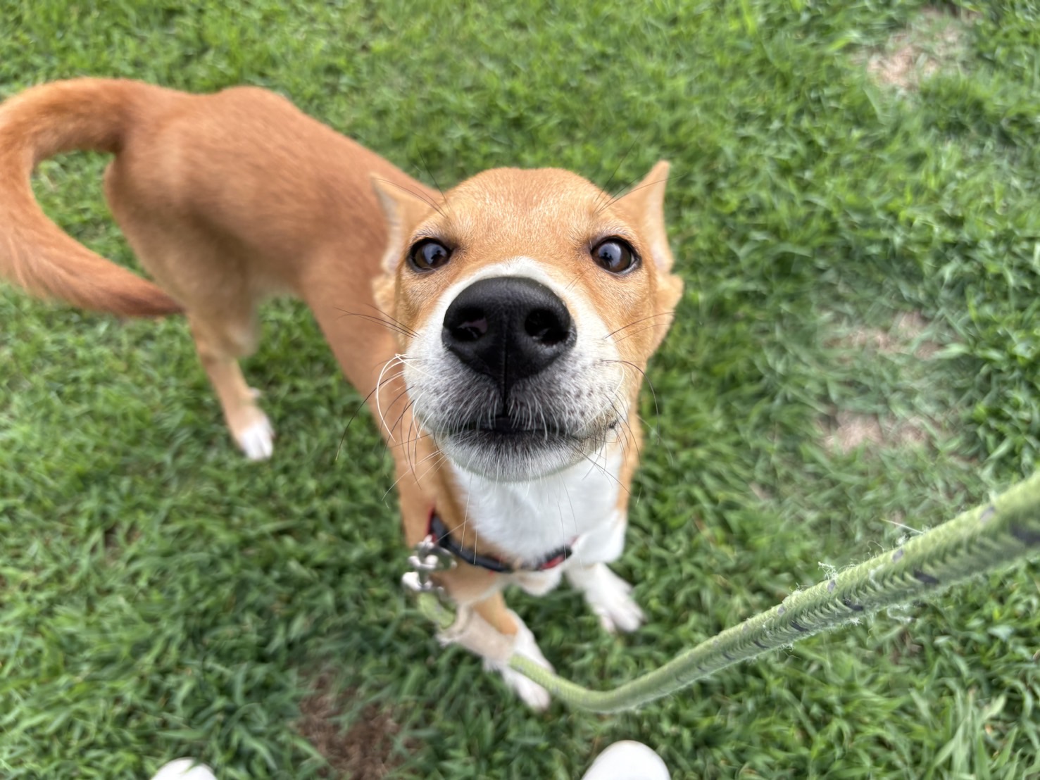 Ｄ２５０１２５