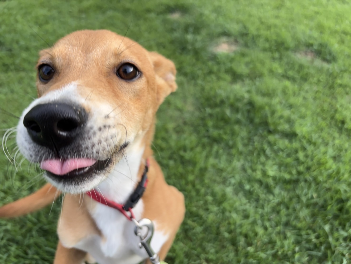 Ｄ２５０１２５