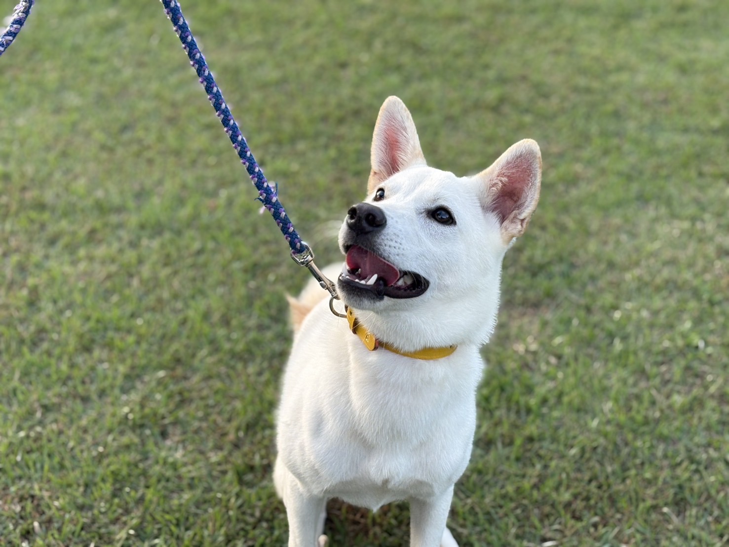 Ｄ２５００６７