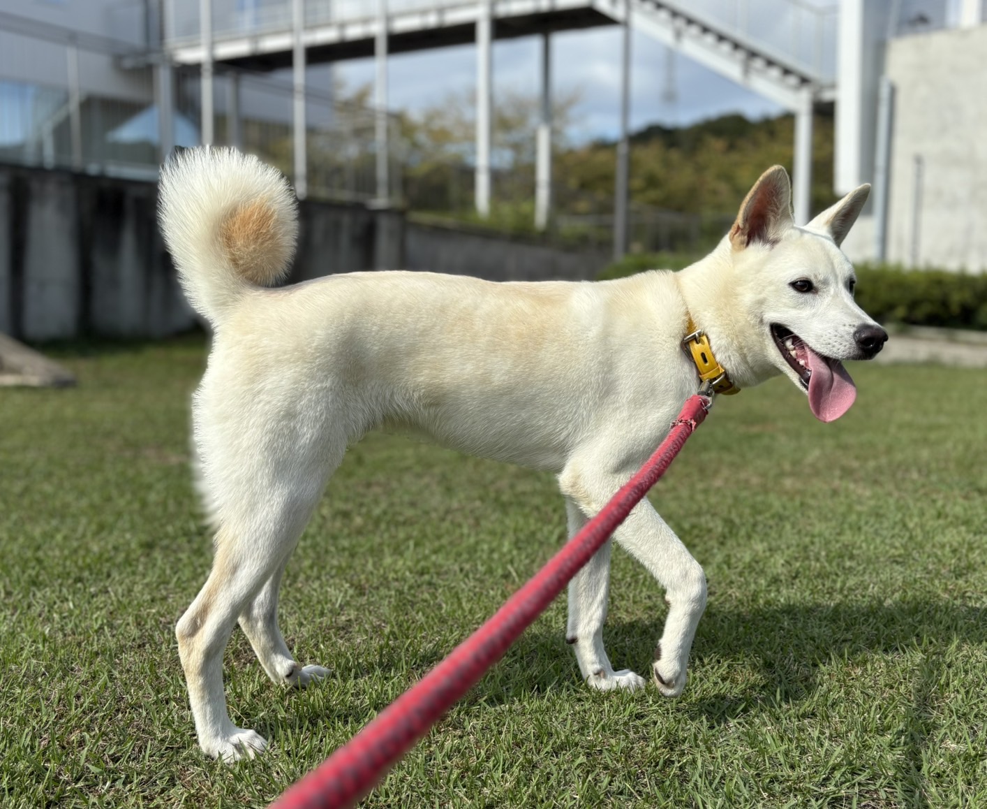 Ｄ２５００６７