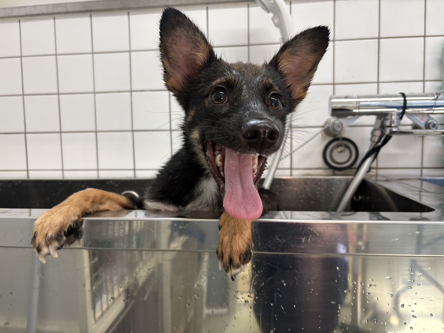 Ｄ２５０１１２